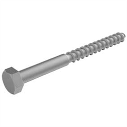 Coach Screw